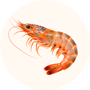놓치면 품절! 서브마켓