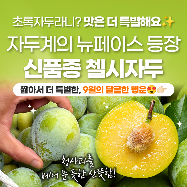 놓치면 품절! 서브마켓