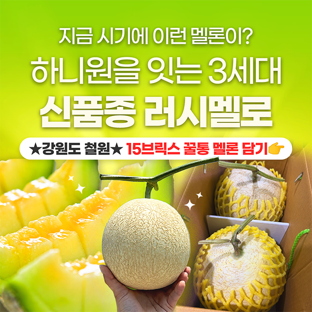 놓치면 품절! 서브마켓