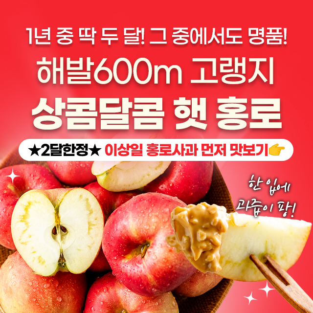 놓치면 품절! 서브마켓