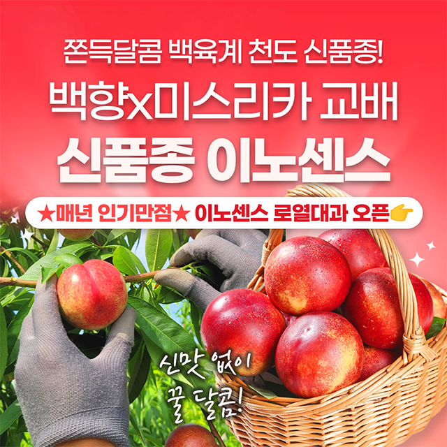 놓치면 품절! 서브마켓